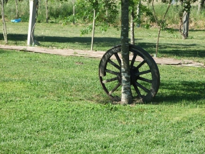 DSCF3991.JPG