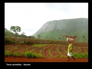 angola_009.jpg