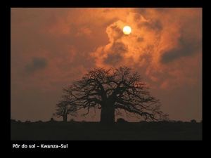 angola_013.jpg
