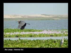 angola_015.jpg