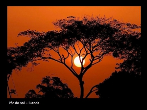 angola_030.jpg